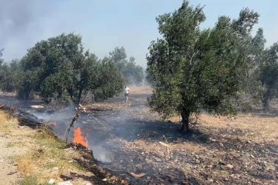 Edremit'te çöplükte çıkan yangın, tarım arazilerine sıçradı