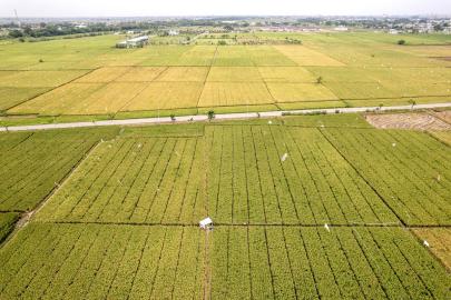 Endonezya, El Nino Kaynaklı Kuraklığa Karşı Önlemleri Artırıyor