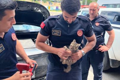 Eskişehir'de aracın motor kısmına sıkışan kedi yavrusu kurtarıldı