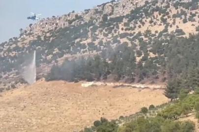 Gaziantep'te orman yangını