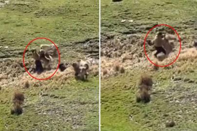 Görüntü Türkiye'den! Kamera dehşet anlarının her saniyesini kaydetti