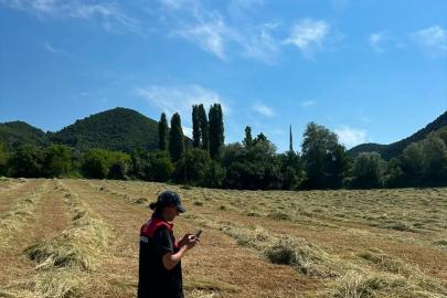 Göynücek'te tarımsal desteklemeler için ekim alanları yerinde incelendi