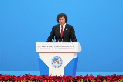 Gürcistan Başbakanı: Ülkede Tek Bir Yasadışı Göçmen Kalmamasını Hedefliyoruz