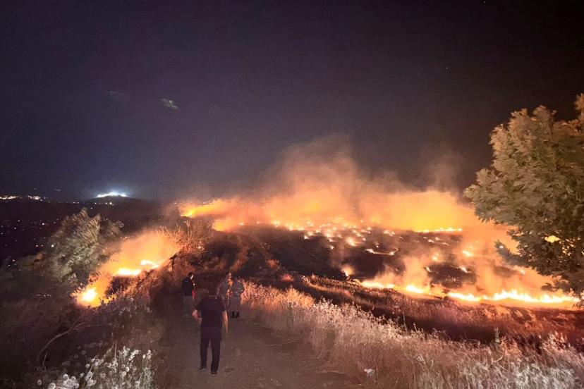 Hatay'da anızda çıkıp zeytin bahçelerine sıçrayan yangın kontrol altına alındı
