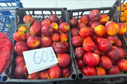 Hatay'da bahçede 15 TL'ye satılan şeftali pazarda 60 TL