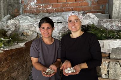 İpek böcekçiliği yaparak aile bütçelerine katkı sağlıyorlar
