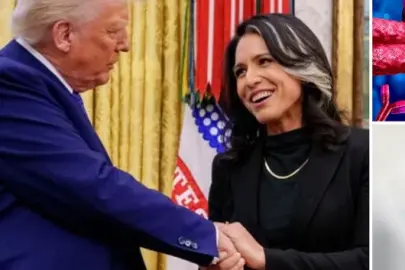 İstihbarat Direktörlüğünden istifa eden Gabbard ABD'nin 'örtbas edilen' laboratuvarlarını açıkladı