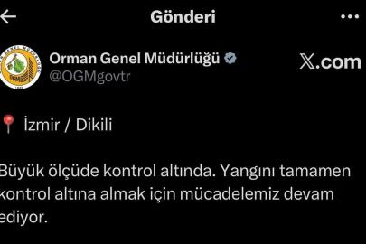 İzmir'de maki yangını