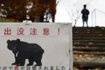 Japonya tarihinin en sıra dışı olayı: Asya kara ayısı kaçtı 94 okulda eğitime ara verildi