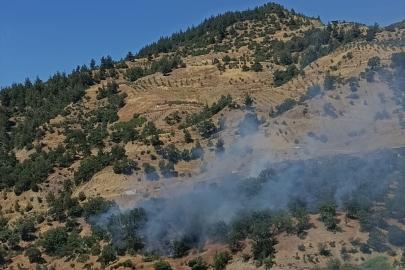 Kahramanmaraş'ta çıkan orman yangını kontrol altına alındı