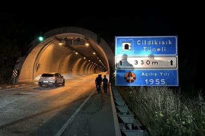 Karabük'te tünelde otomobilin çarptığı bozayı yaralandı
