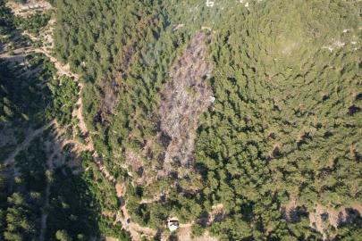 Kaş ilçesinde ormanlık alanda çıkan yangın kontrol altına alındı