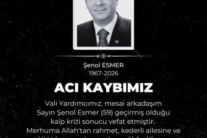 Kayseri Vali Yardımcısı Esmer, hayatını kaybetti