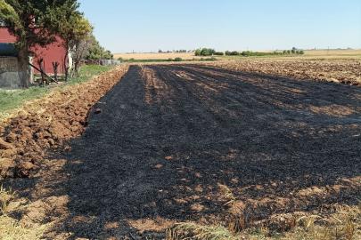 Kızıltepe'de arazilerde çıkan yangın söndürüldü