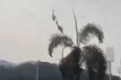 Korku dolu anlar kameraya yansıdı: İki helikopter havada çarpıştı