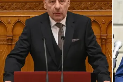 Macaristan'da istifa çağrısına uymayan cumhurbaşkanına anayasa değişikliği