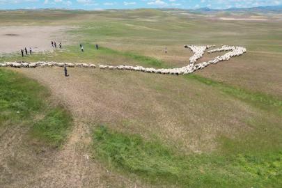 Malatya'da küçükbaşların yayla yolculuğu başladı