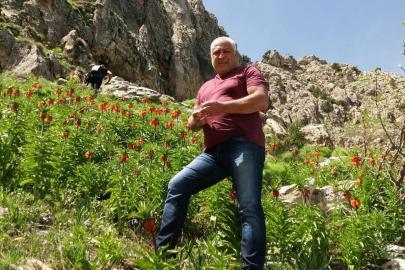 Mantar toplamak için çıktığı dağda ölü bulundu