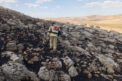 Mardin'de 1 haftada 236 yangına müdahale edildi