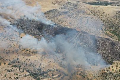 Mardin'in Yeşilli ilçesinde çıkan örtü yangını söndürüldü