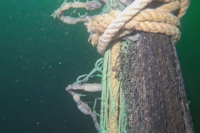 Marmara Denizi'nde 10 yılda 650 bin metrekare hayalet ağ deniz dibinden çıkarıldı
