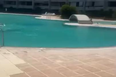 Mersin'de bir kadının haşema ile havuza alınmadığı iddiası