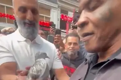 Mike Tyson'a Hollanda'da şaşırtan sürpriz: Türk şampiyon Aksaray güverciniyle jest yaptı