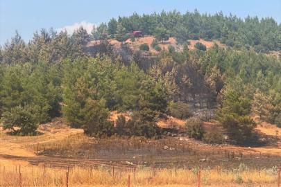 Muğla'da orman yangını kontrol altına alındı
