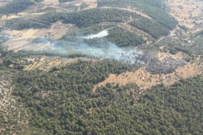 Muğla'da ziraat alanında çıkan yangın kontrol altına alındı