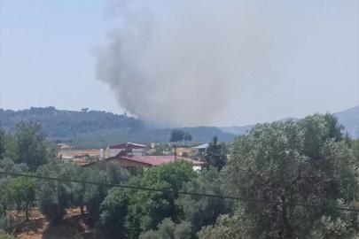 Muğla'nın Seydikemer ilçesinde orman yangını çıktı