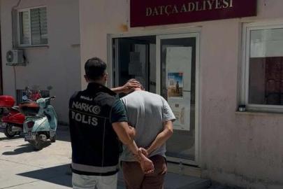 Muğla'da uyuşturucu operasyonu; 1 tutuklama