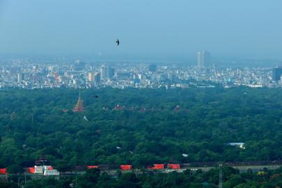 Myanmar Bu Yılki Yağış Sezonunda 21 Milyondan Fazla Fidan Dikecek