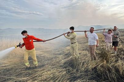 Sakarya'da çıkan yangında 150 dönüm mera zarar gördü