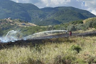 Sakarya'da makilik alanda çıkan yangın söndürüldü