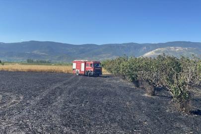 Sakarya'da otluk alanda çıkıp bahçe ve tarlaya sıçrayan yangın söndürüldü