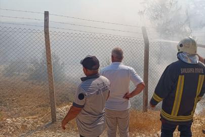 Şanlıurfa'da ağaçlık alanda çıkan yangın söndürüldü