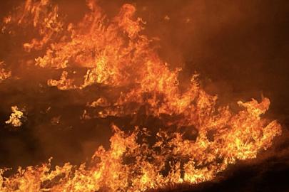 Şanlıurfa'da anız yaktığı iddia edilen şüpheli gözaltına alındı