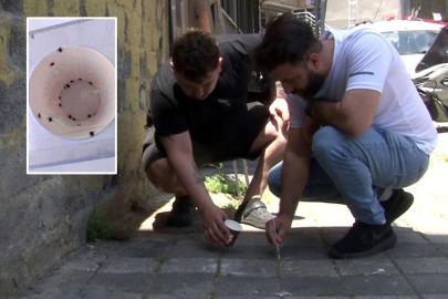 Sarıyer'de kene alarmı, tedirgin olan mahalleli: Arkadaşlar belediyeyi aramasına rağmen kimse gelip ilgilenmedi