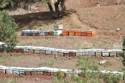 Sason balında hasat öncesi saha kontrolleri sürüyor