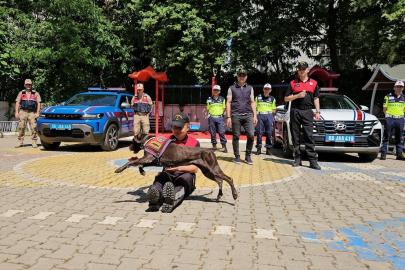 Siirt'te jandarmanın eğitimli köpekleri minik öğrenciler için gösteri yaptı