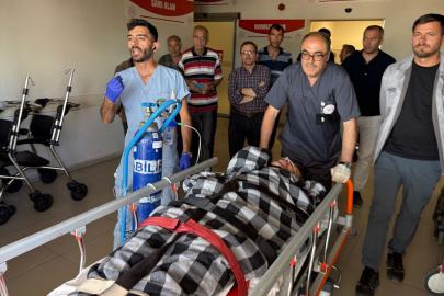 Sivas'ta ayı saldırısına uğrayan çoban yaralandı