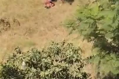Sulama kanalına giren oğlunu kemerle dövdü