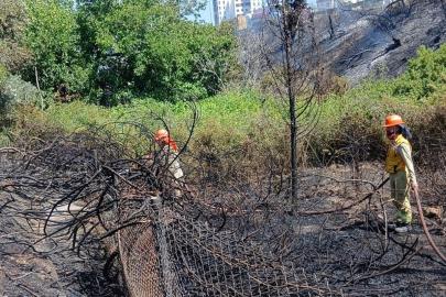 Tarsus'ta otluk alanda çıkan yangın söndürüldü