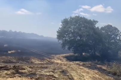 Tekirdağ'da 200 dekar buğday ekili alan yandı