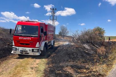 Tekirdağ'da 65 dekar tarım arazisi yangında zarar gördü