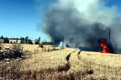 Tekirdağ'da Yangında 50 Dekar Ekili Buğday Zarar Gördü