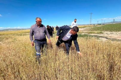 Tuz Gölü Ovası'nda doludan zarar gören tarım arazilerinde hasar tespit çalışması başlatılıyor