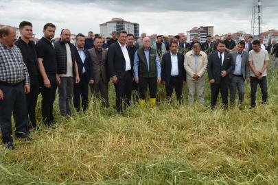 TZOB Genel Başkanı Bayraktar, Kahramankazan'da zarar gören tarım arazilerinde incelemede bulundu Açıklaması