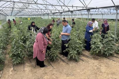Uygulama seralarında tarımı öğrenen liseliler, doğru ve bilinçli üretime öncülük ediyor