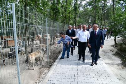 Vali Soytürk, Sahipsiz Sokak Hayvanları Bakımevi ve Rehabilitasyon Merkezini ziyaret etti